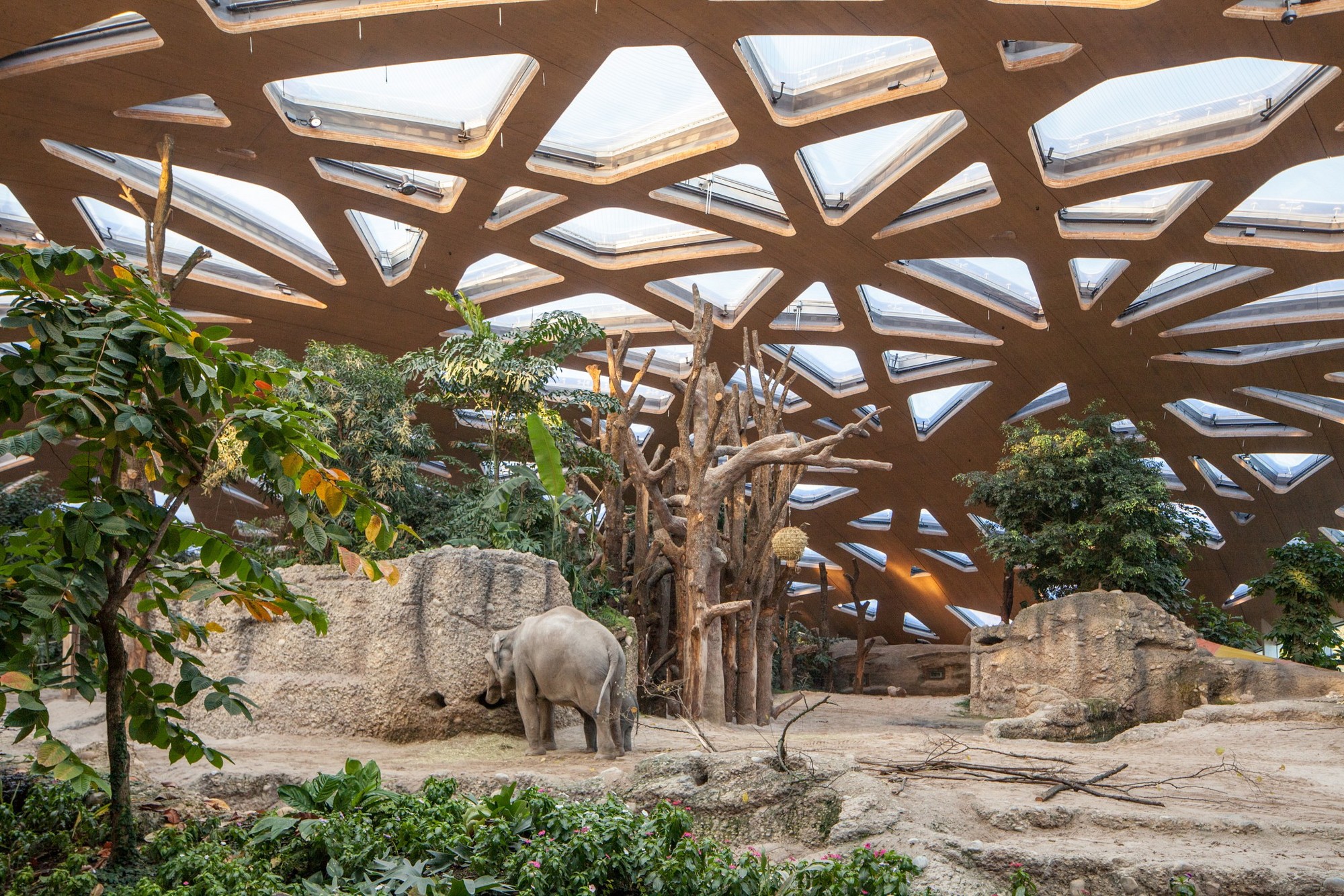 Supalai Blue Whale Hua Hin 16